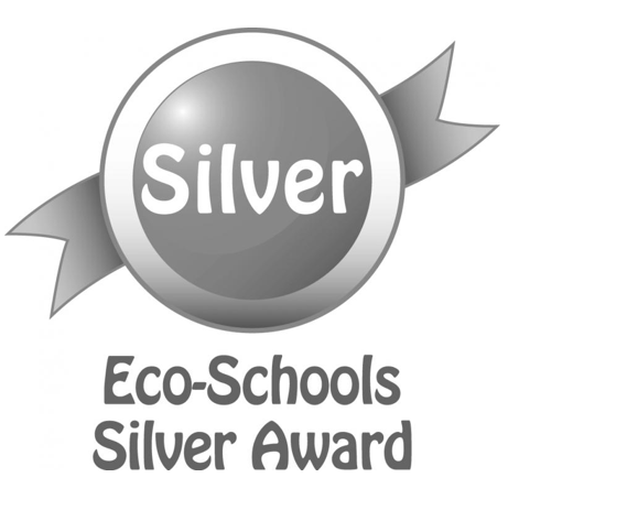 cropped-Eco-Silver.png
