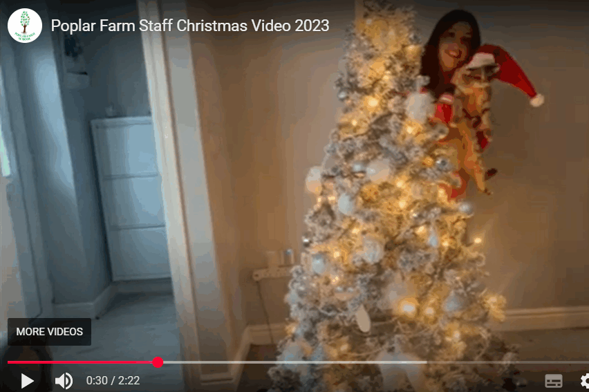 cropped-Vid3.png